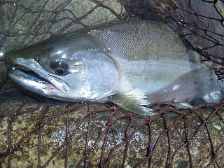 ǐ@TcL}X@ǃ}X@58@44.5cm