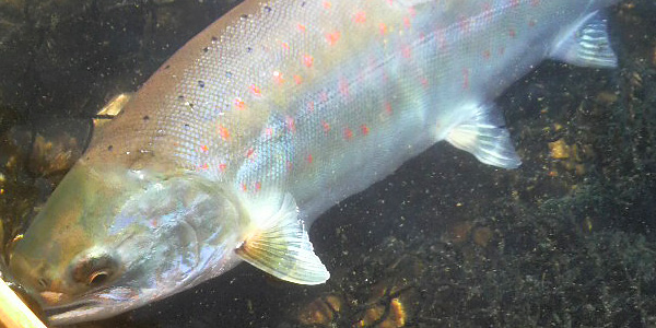 ǐ@TcL}X@iK}X@ǃ}X@2010N@މʁ@C[W