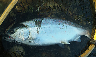 ǐ@TcL}X@ǃ}X@521@41cm