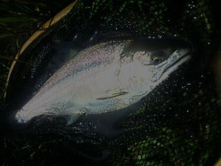 ǐ@TcL}X@ǃ}X@521@39.5cm