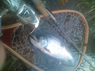 ǐ@TcL}X@ǃ}X@2011N514@41cm