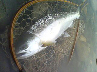 ǐ@TcL}X@ǃ}X@2011N517@41cm