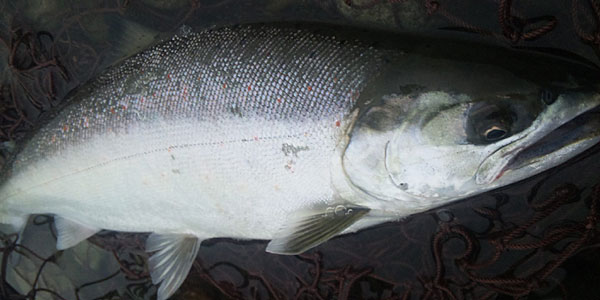 ǐ@TcL}X@iK}X@ǃ}X@2012N@މʁ@C[W