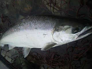 ǐ@TcL}X@ǃ}X@2012N430@39.5cm