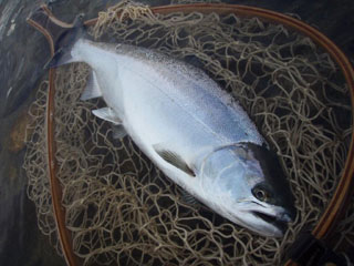 ǐ@TcL}X@ǃ}X@2012N53@39cm