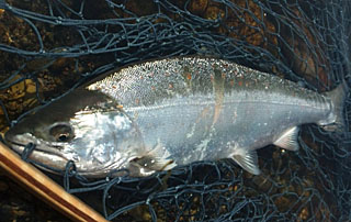 ǐ@TcL}X@ǃ}X@2012N57@41cm