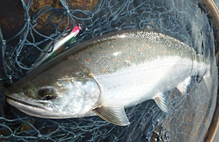 ǐ@TcL}X@ǃ}X@2012N57@43cm