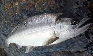 ǐ@TcL}X@ǃ}X@2012N526@40.5cm