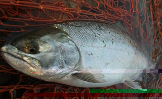 ǐ@TcL}X@2014N514@37cm