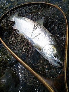 ǐ@TcL}X@2014N516@38cm