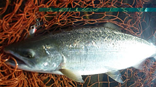 ǐ@TcL}X@2014N523@37cm