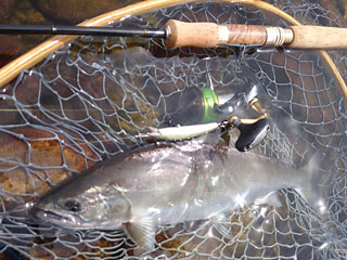 ǐ@TcL}X@2015N56@37.5cm