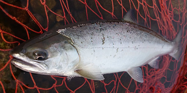 ǐ@TcL}X@iK}X@ǃ}X@2015N@މʁ@C[W