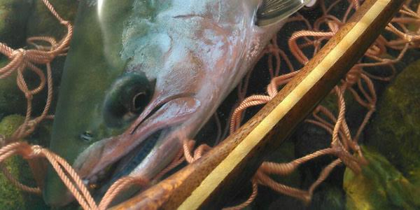 ǐ@TcL}X@iK}X@ǃ}X@2015N@މʁ@C[W