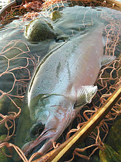 ǐ@TcL}X@2015N428@35cm