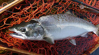 ǐ@TcL}X@2015N428@35cm