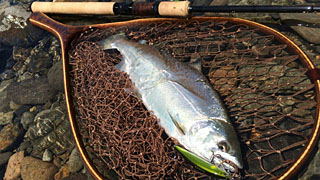 ǐ@TcL}X@2015N428@35cm