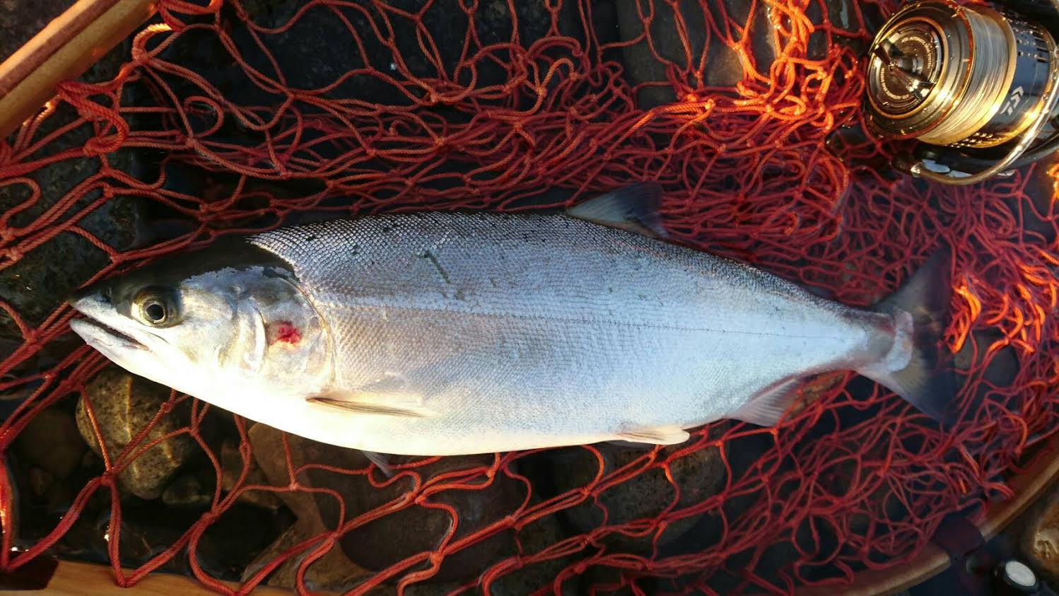 ǐ@TcL}X@2015N428@35cm