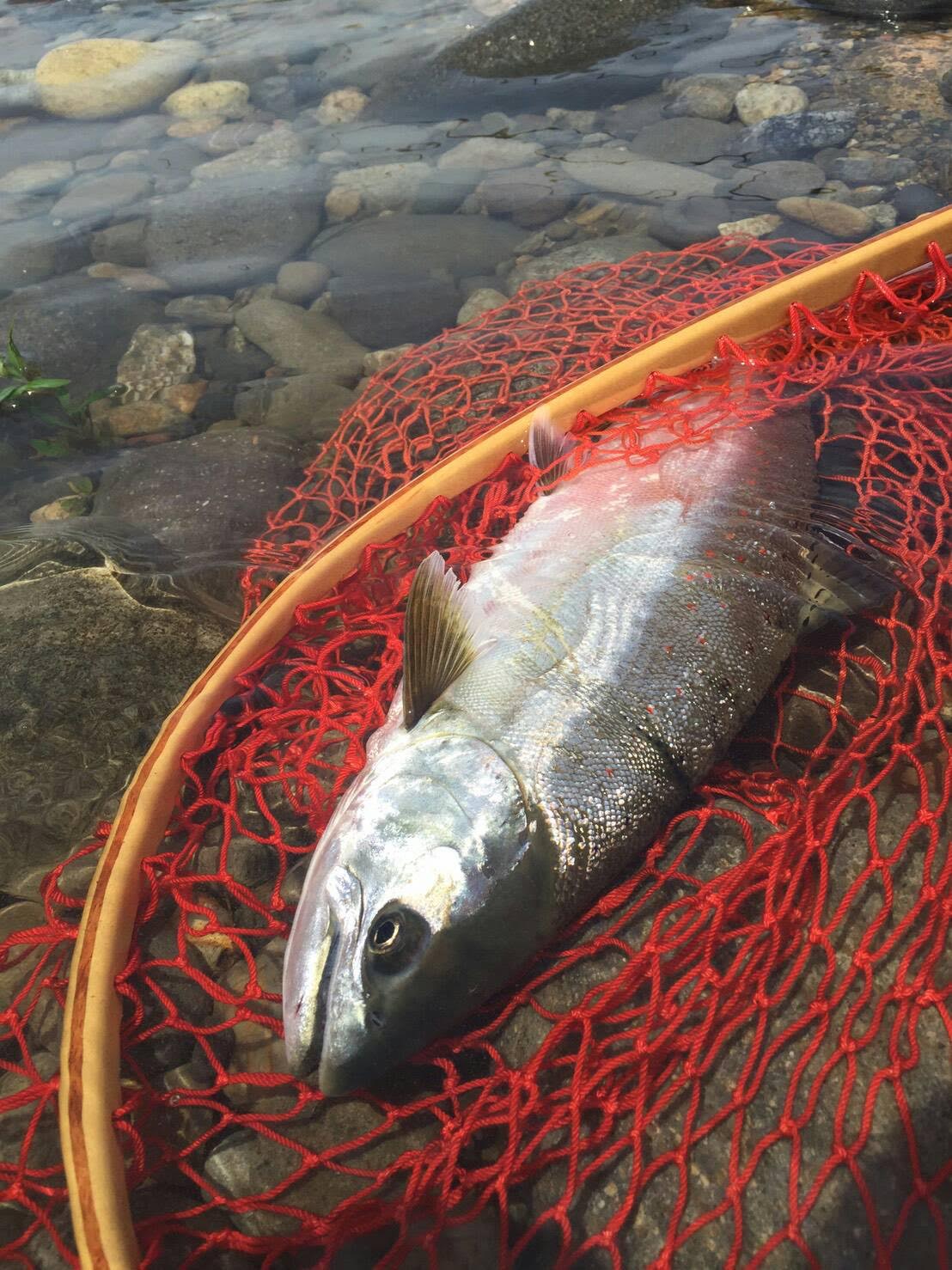 ǐ@TcL}X@2015N428@35cm