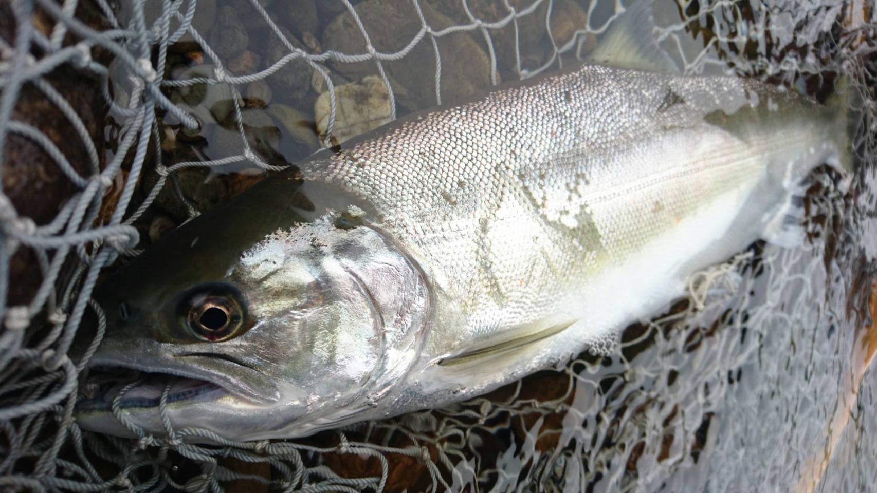 ǐ@TcL}X@2015N428@35cm