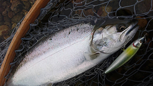 ǐ@TcL}X@2015N428@35cm