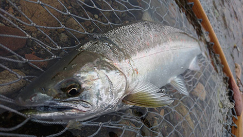 ǐ@TcL}X@2015N428@35cm