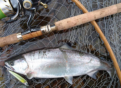 ǐ@TcL}X@2015N428@35cm