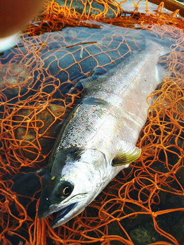 ǐ@TcL}X@2015N428@35cm