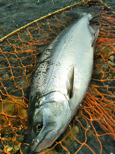 ǐ@TcL}X@2015N428@35cm