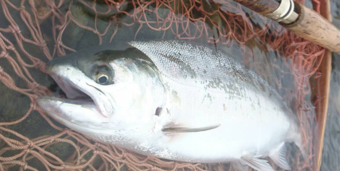 ǐ@TcL}X@iK}X@ǃ}X@2015N@މʁ@C[W