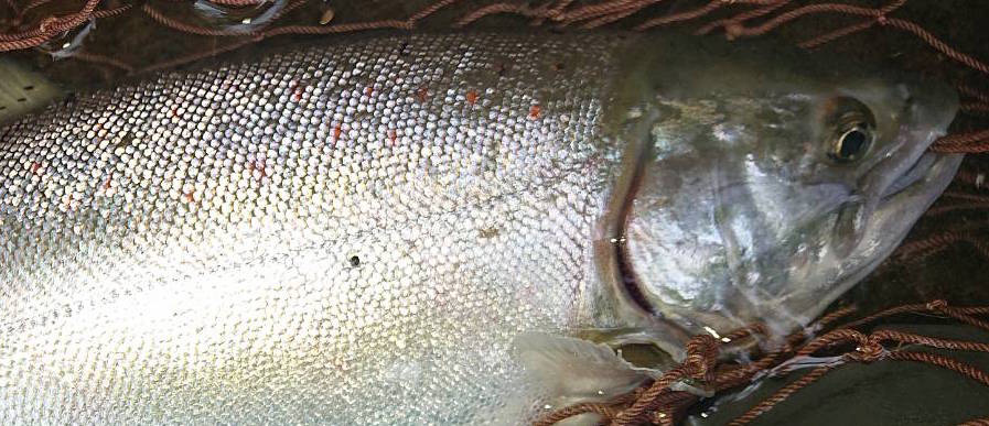 Nu@iK}X@ǐ@TcL}X@2019މ