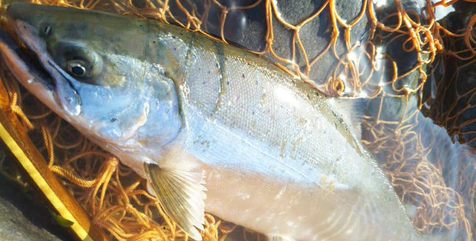 ǐ@TcL}X@iK}X@ǃ}X@2021N@މʁ@C[W