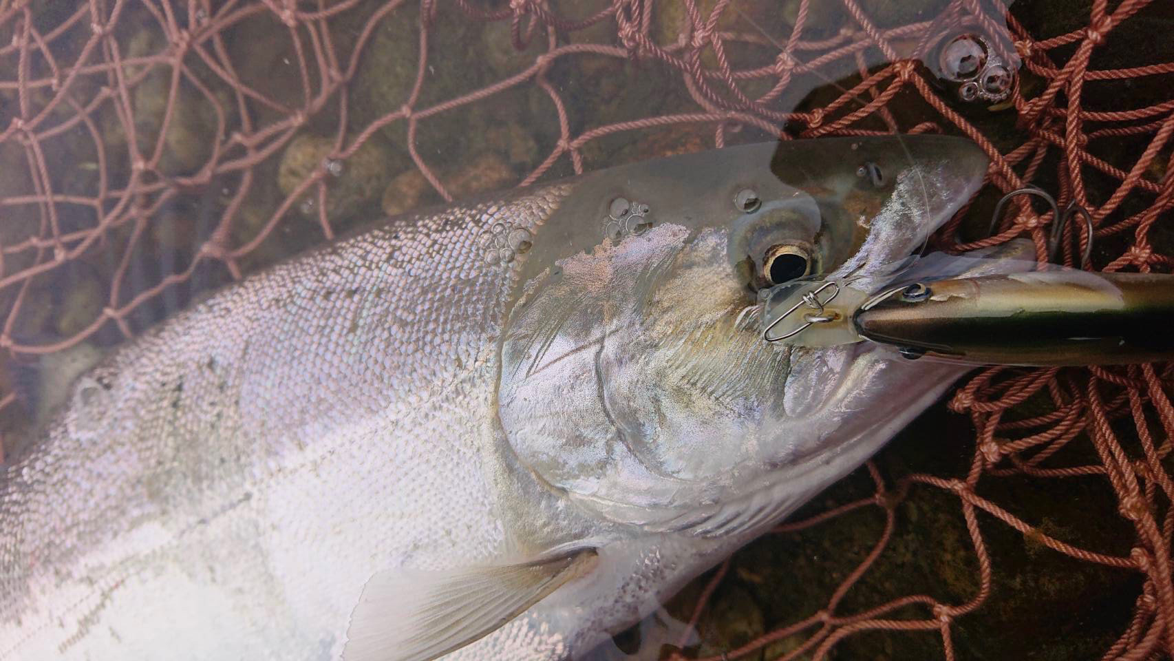 ǐ@TcL}X@iK}X@ǃ}X@2023N@މʁ@C[W