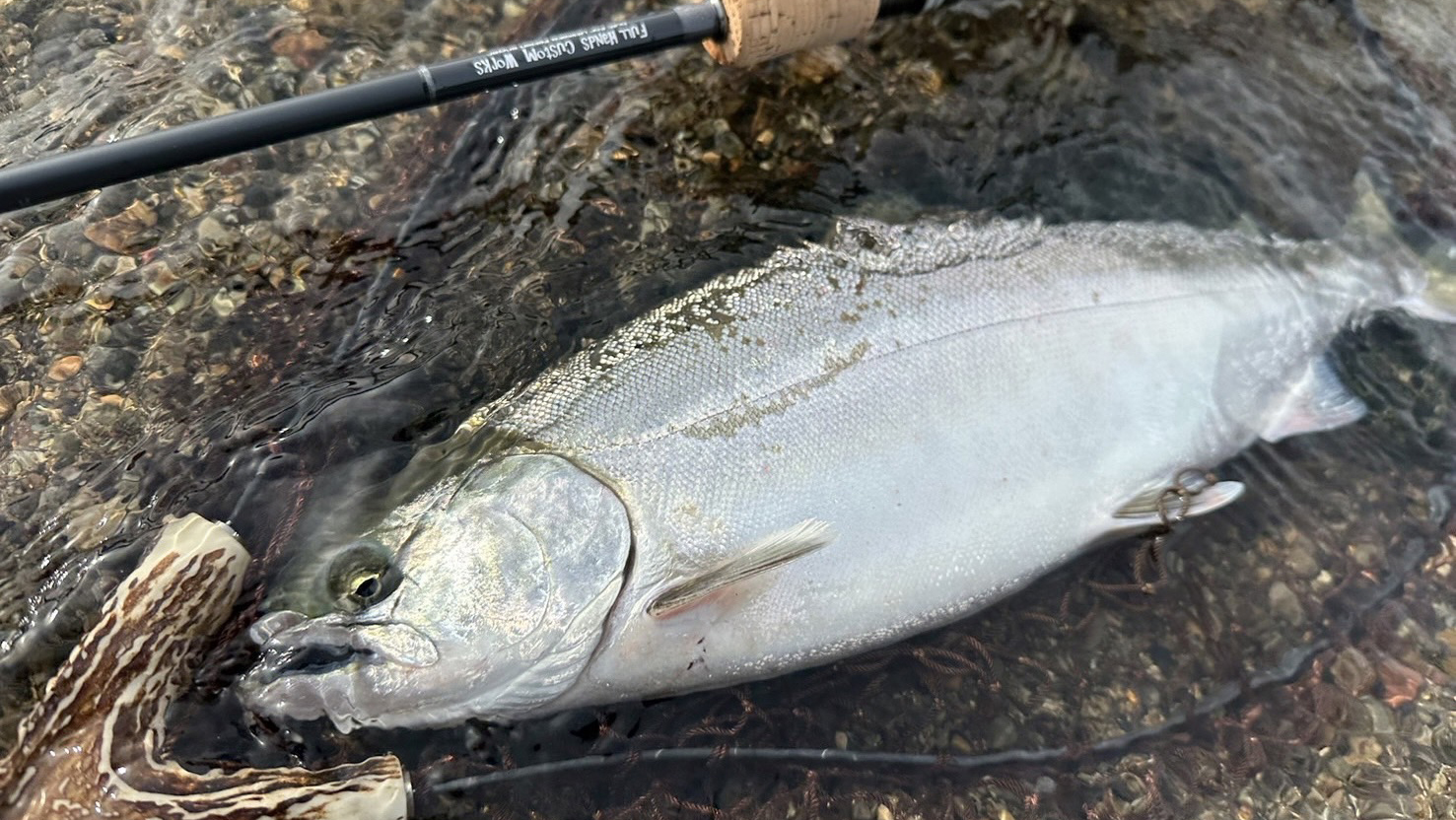 ǐ@TcL}X@iK}X@ǃ}X@2024N@މʁ@C[W