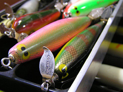 Top Water Old Luer Bass Fishing Favorite bgbvEH[^[EI[hA[EoXtBbVOEtFCobgA[EoT50