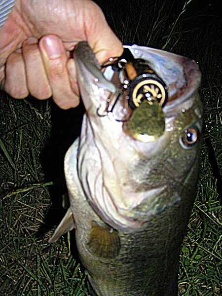 Top WaterBass Fishing Favorite b݂肵̃oXtBbVO