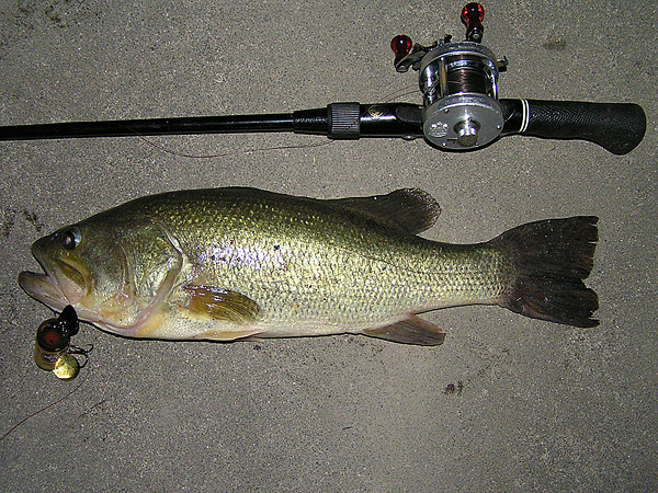 Top WaterBass Fishing Favorite b݂肵̃oXtBbVO