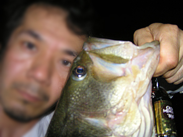 Top WaterBass Fishing Favorite b݂肵̃oXtBbVO