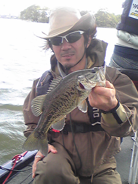 Top WaterBass Fishing Favorite b݂肵̃oXtBbVO