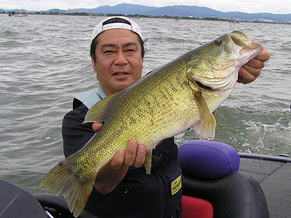 Top WaterBass Fishing Favorite b݂肵̃oXtBbVO