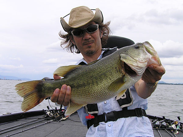 Top WaterBass Fishing Favorite b݂肵̃oXtBbVO