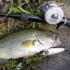 Top Water Old Lure Bass Fishing Favorite bI[hA[@݂肵̃oXtBbVO@t@bgvE_[