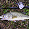 Top Water Old Lure Bass Fishing Favorite bI[hA[@݂肵̃oXtBbVO@܎O@fBNV[BHu[wbh