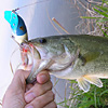 Top Water Old Lure Bass Fishing Favorite bI[hA[@݂肵̃oXtBbBH
