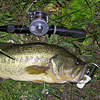 Top Water Old Lure Bass Fishing Favorite bI[hA[@݂肵̃oXtBbVO@܎O@51cm-2