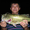 Top Water Old Lure Bass Fishing Favorite bI[hA[@݂肵̃oXtBbVO@i΁@oXJ[53cm
