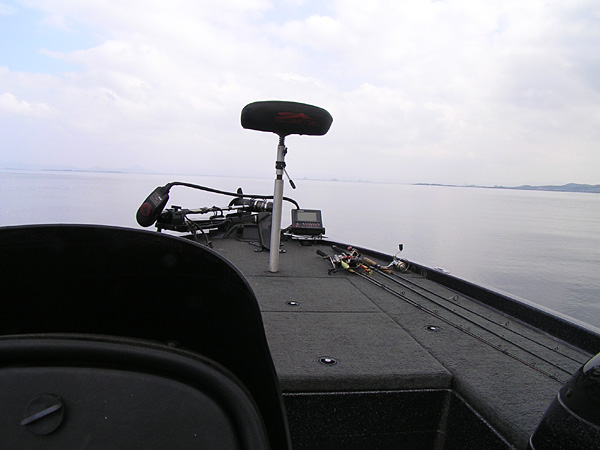 Top WaterBass Fishing Favorite b݂肵̃oXtBbVO