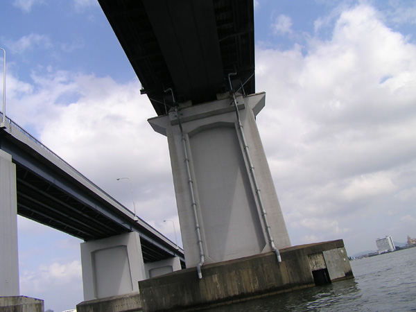 Top WaterBass Fishing Favorite b݂肵̃oXtBbVO