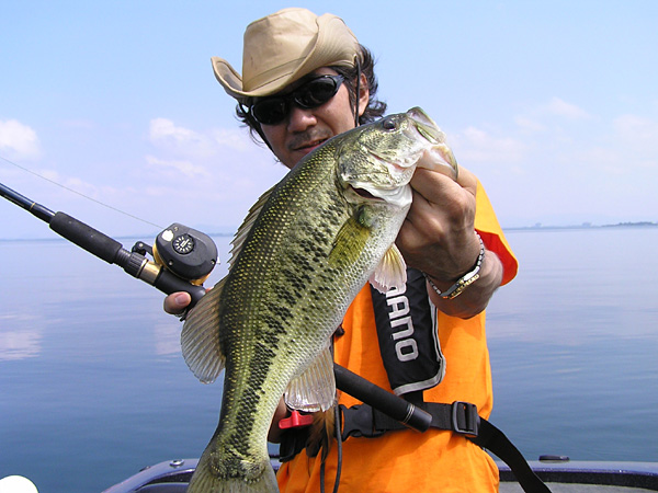 Top WaterBass Fishing Favorite b݂肵̃oXtBbVO