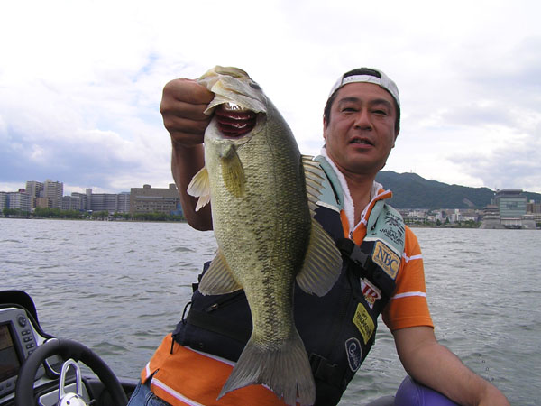 Top WaterBass Fishing Favorite b݂肵̃oXtBbVO